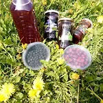 بيت للعطل семейна вила рай Fаmilly Paradise