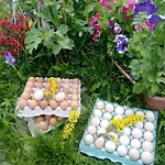 семейна вила рай Fаmilly Paradise * Popovo
