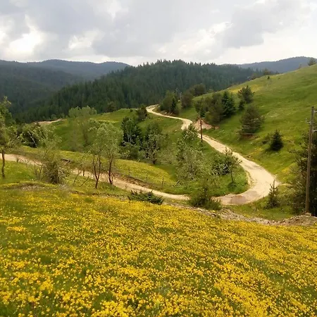 семейна рай Fаmilly Paradise Ferienhaus Popovo